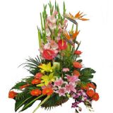 仙游鲜花速递